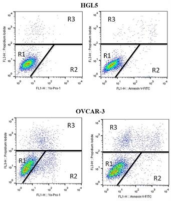 Modulatory effect of pomegranate peel extract on key regulators of ovarian cellular processes in vitro